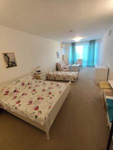 Cozy studio with balcony and free parking