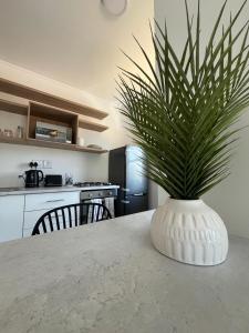 Ballito Modern Nest