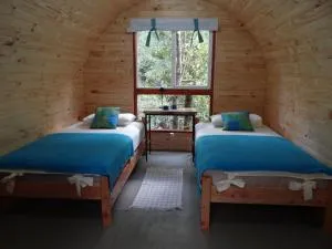 Huincaterra - 富特罗诺