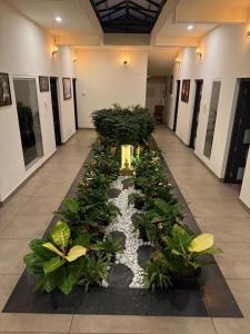 Casa Branca Retreat &Hub