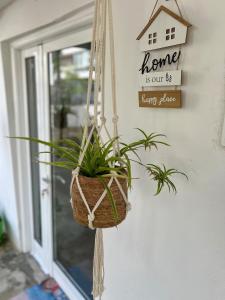 UrbanOasi Terra