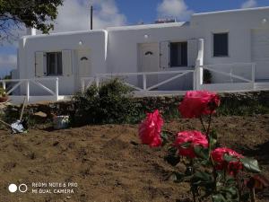NIKOLAS HOUSE CLOSE To TOWN