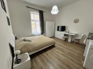 Cozy Apartment in the Heart of Prague