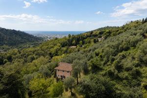La Casa Dei Limoni, Camaiore, Pet Friendly, Wifi