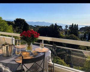 Studio Cap dAntibes Vue Mer Exceptionnelle