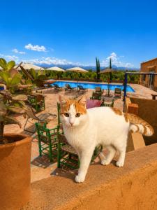 Atlas Agafay Horizon Marrakech Auberge & Luxury Suites