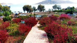 Villa Blu Majestic beach villa Halki-Island Greece