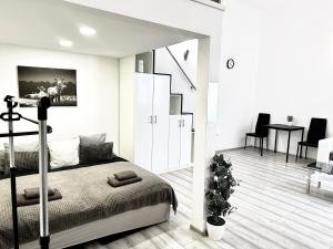 Belvárosi Apartman