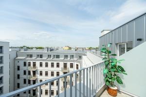 RentPlanet - Studio Konopacka