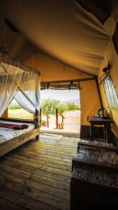 Africa Safari Lake Natron