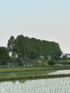 和 -Nagomi-