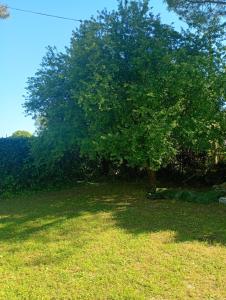 Le Olghe Country House