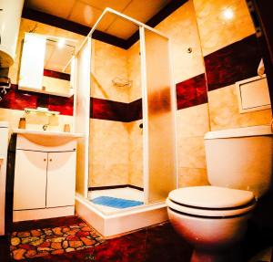 Williams apartments - cute studio