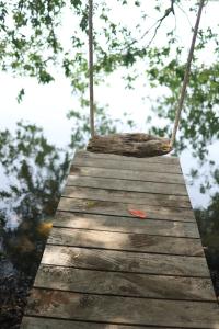 Aji fruit farm cottage peaceful lakeside farm stay with sunrise views 02