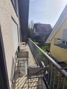 Drachenfels Nest