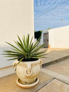 Dar almasyaf, maison bord de mer