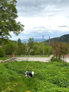Agroturystyka Monte Luna - domki