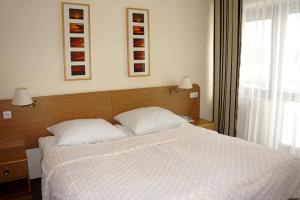 Studio with Balcony room in Hotel Activa