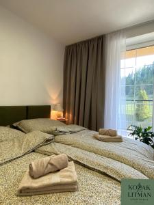 Apartmán KOZAK LITMAN