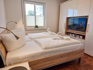 Ferienwohnung Lachmöwe