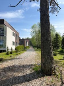 The Baltic Sea Hideaway