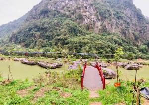 Ninh Binh Golden Camellia Park