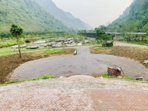 Ninh Binh Golden Camellia Park