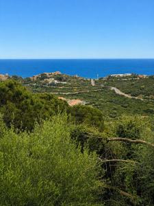 Kalimera 1 img14