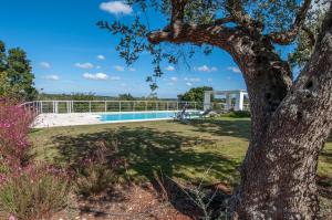 Trulli Santa Maria dei Grani - Authentic Puglia Trulli with Private Pool & Scenic Garden