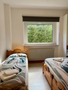 Tra Neve e Lago Mountain Apartment