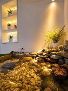 Maya Homestay