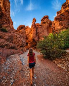 Auberge La Fibule Du Dades