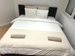 In Central Ghent, 1BR & 1LR Apartment with WIFI