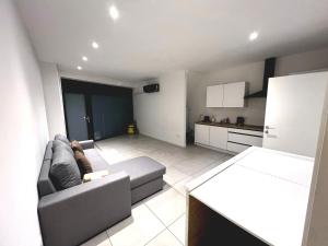 In Central Ghent, 1BR & 1LR Apartment with WIFI