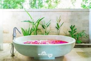 Ocean View Family Wellness Mocean Tribe Villa