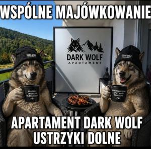 Apartament Ustrzyki Dolne "Dark-Wolf"