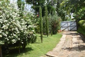 Camphor Mountain View