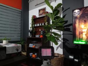 Summer Retreat at Maboneng with Kingbed HugeTV WiFi