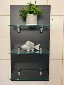 Gemütliche 2-Zimmer Wohnung in gepflegter Anlage