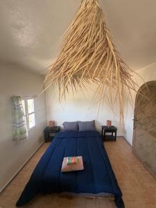 Banana Beach Ocean Views Entire Top Floor With 2 bedrooms
