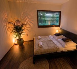 Premium Apartman Kolárovo