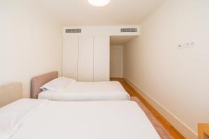 Premium Apartment in Porto City Center Bolhao
