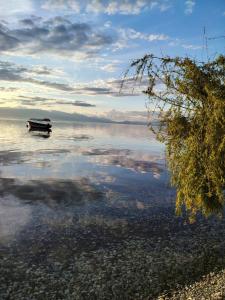 Apartman Pepe Peštani,50m od plaže, Ohrid