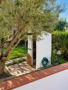 Villa le palme img43