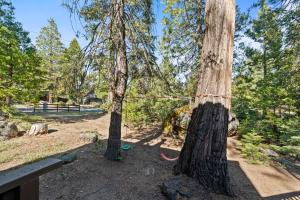 Happy Pines- Remodeled Family Cabin