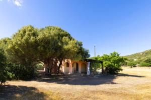 Stazzo Istana Jacuzzi Barbecue e Mare a piedi img25