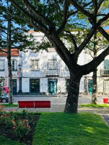 GARDEN VIEW APARTMENT