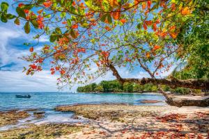 Beachfront Studio - King Bed - Fast WiFi - AC