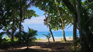 Beachfront Studio - King Bed - Fast WiFi - AC