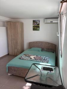 Apartments Sole1